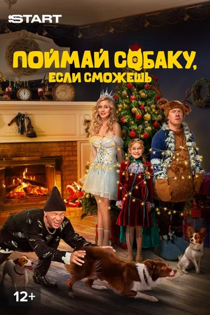 Постер Поймай собаку, если сможешь