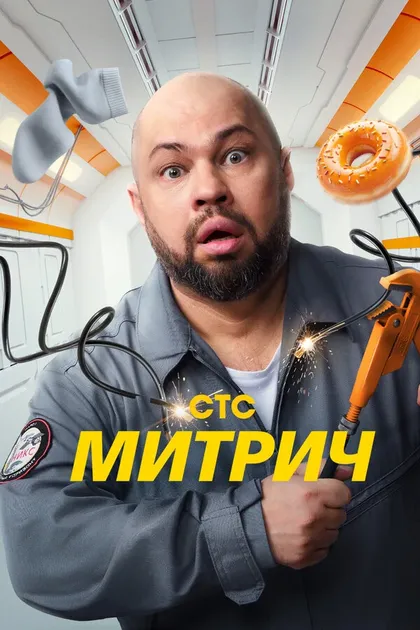 Постер Митрич